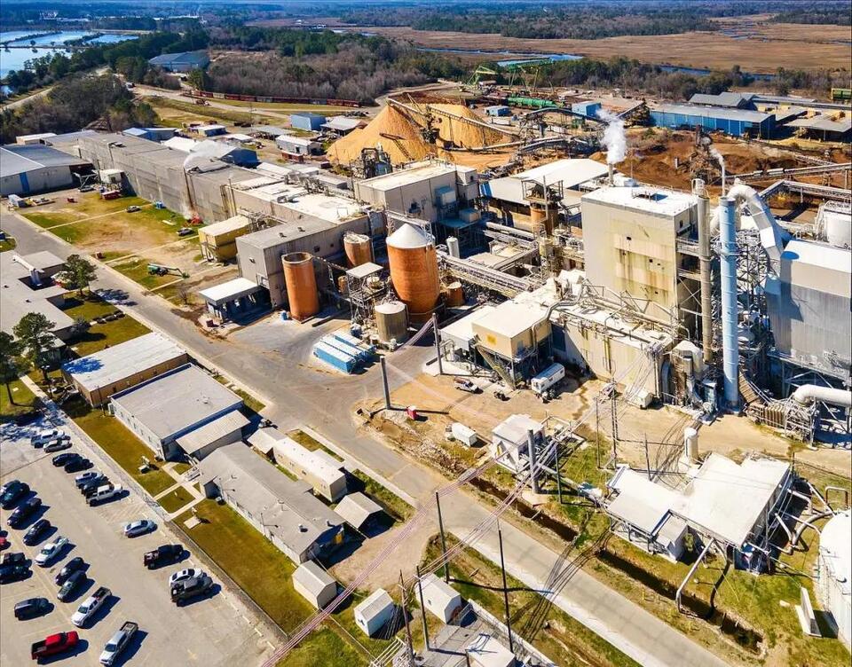Georgia timber industry faces struggle as large mills close - NewsBreak