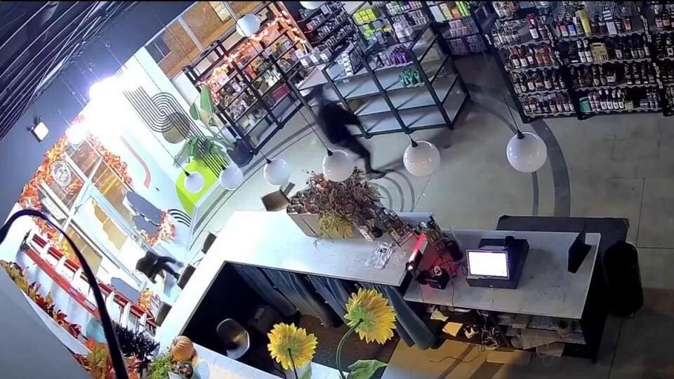 19 Chicago businesses targeted in Northwest Side smash-and-grab ...