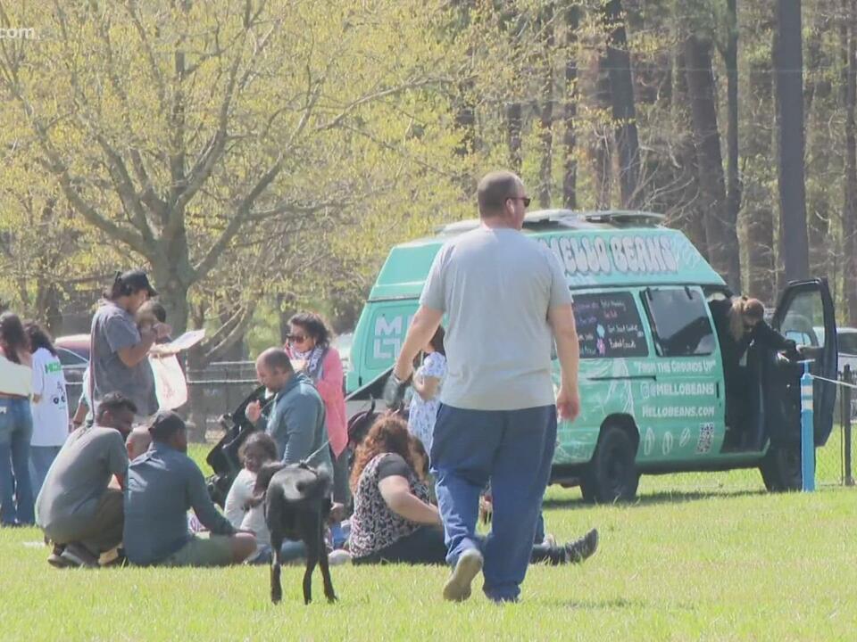 Red Wing Park's Cherry Blossom Festival