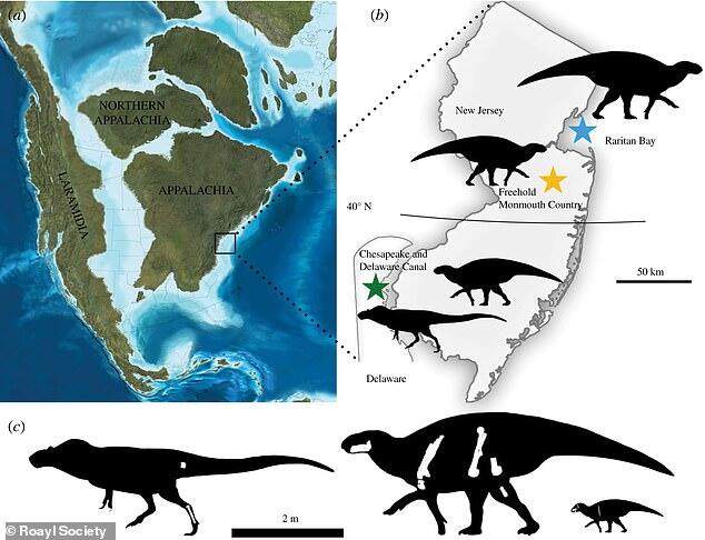 T. rex had an East Coast cousin! Terrifying tyrannosaurs with longer ...