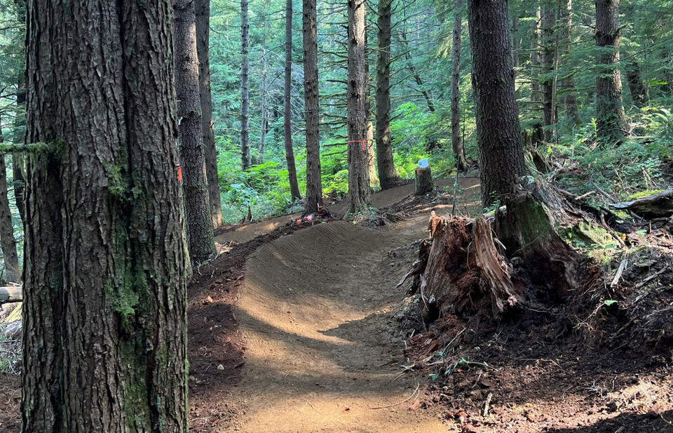 Evergreen completes final phase at Raging River in Washington with 5 ...