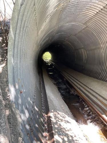 Mendocino National Forest road work to improve fish passage - NewsBreak