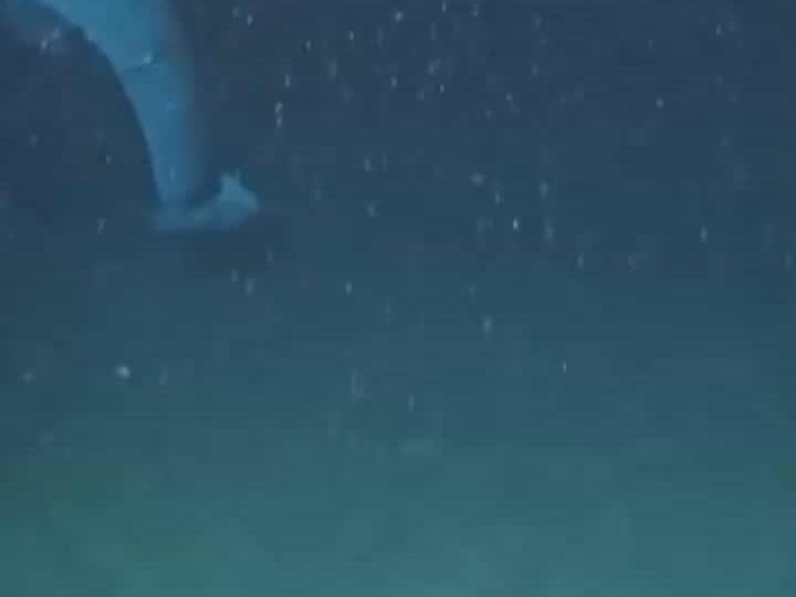 U.S. Coast Guard shares rare footage of Titan submersible wreckage