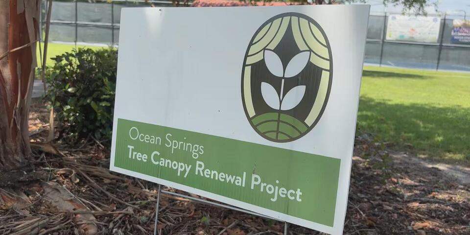 Ocean Springs tree canopy project plants first 50 trees, seeks resident ...
