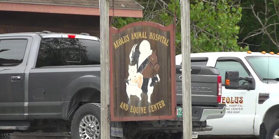 Lawyers dispute animal abuse claims against Vt. veterinarian - NewsBreak