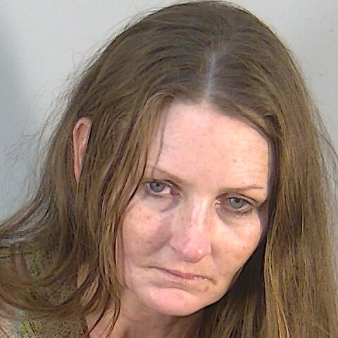 Woman with history of selling drugs arrested at home in Water Oak ...