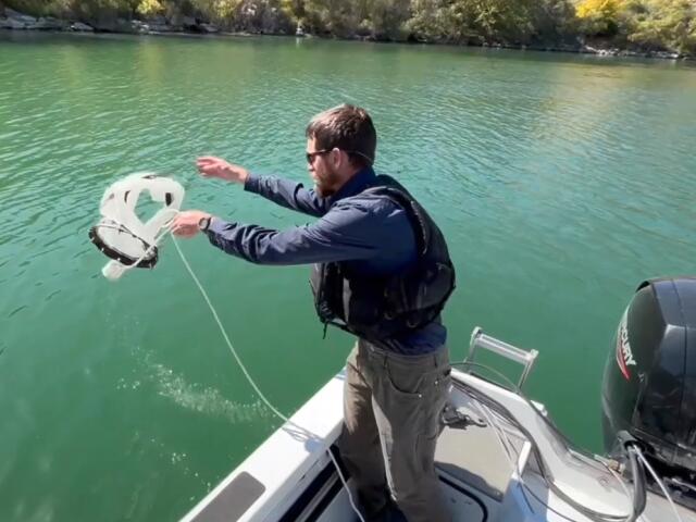Quagga mussels detected in Snake River for 4th year