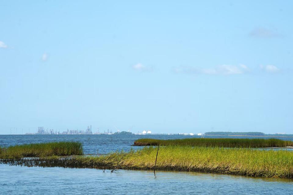 ‘A thousand cuts:’ Following historic loss, oysters could be the key to Alabama’s marsh recovery