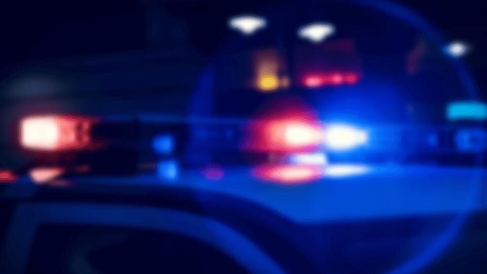 Charleston coroner identifies victim in fatal single-vehicle crash on ...