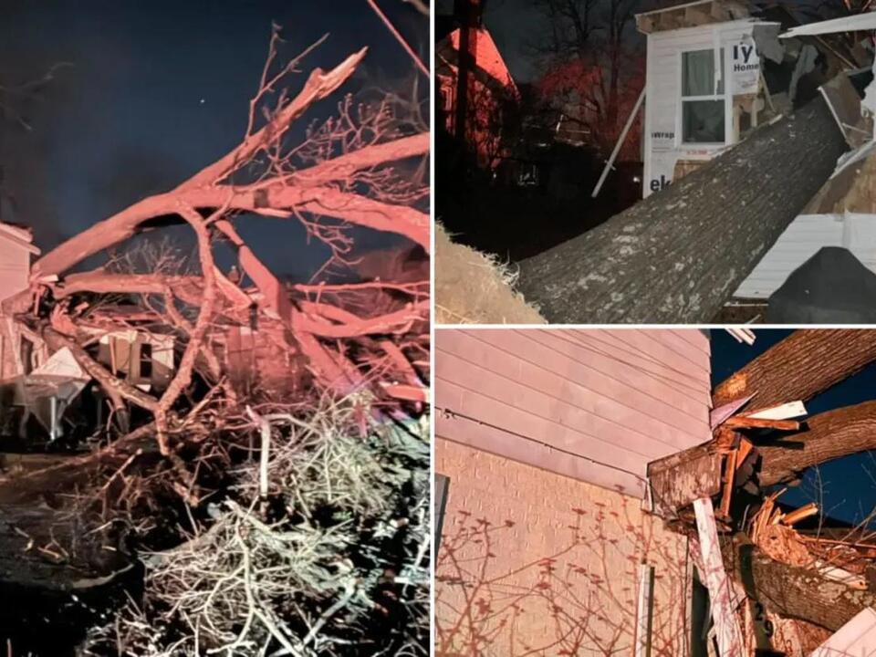 Family Displaced After Tree Falls On 2-Story Montgomery County Home