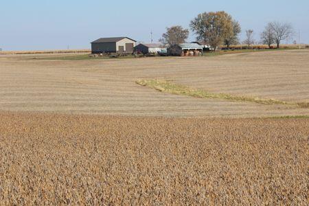 China to buy 12 million metric tons of US soybeans this season, Bessent ...