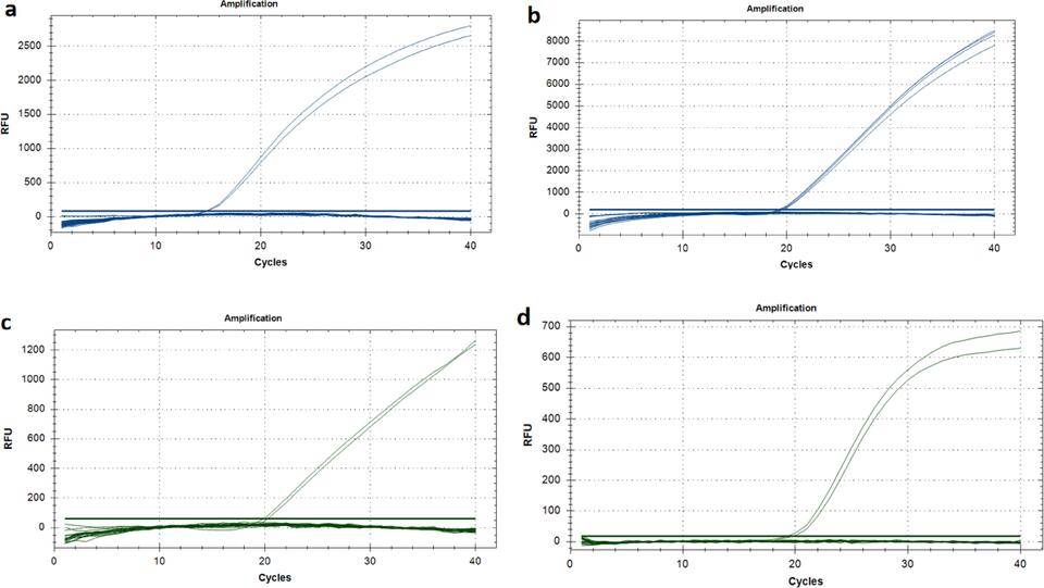 A ddPCR method for simultaneous detection and quantification of ...