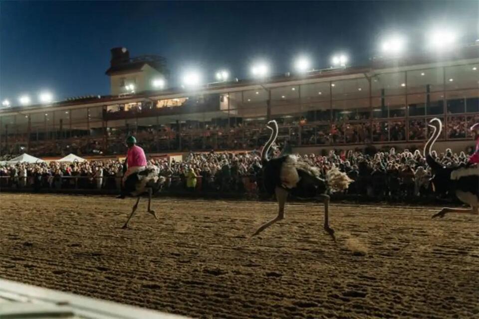 Stampede for a Cause Returns to Charles Town Races in West Virginia ...