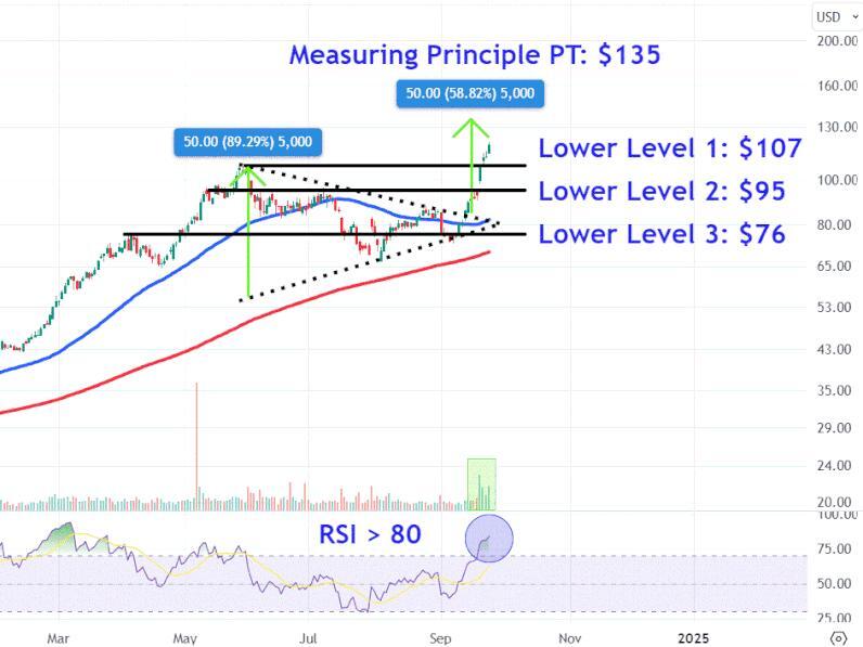 Vistra is the Top S&P 500 Gainer This Year—Key Stock Price Levels to
