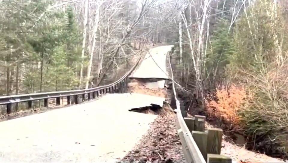Tunnel of Trees Collapses as Storms Bring Flooding Across Michigan ...