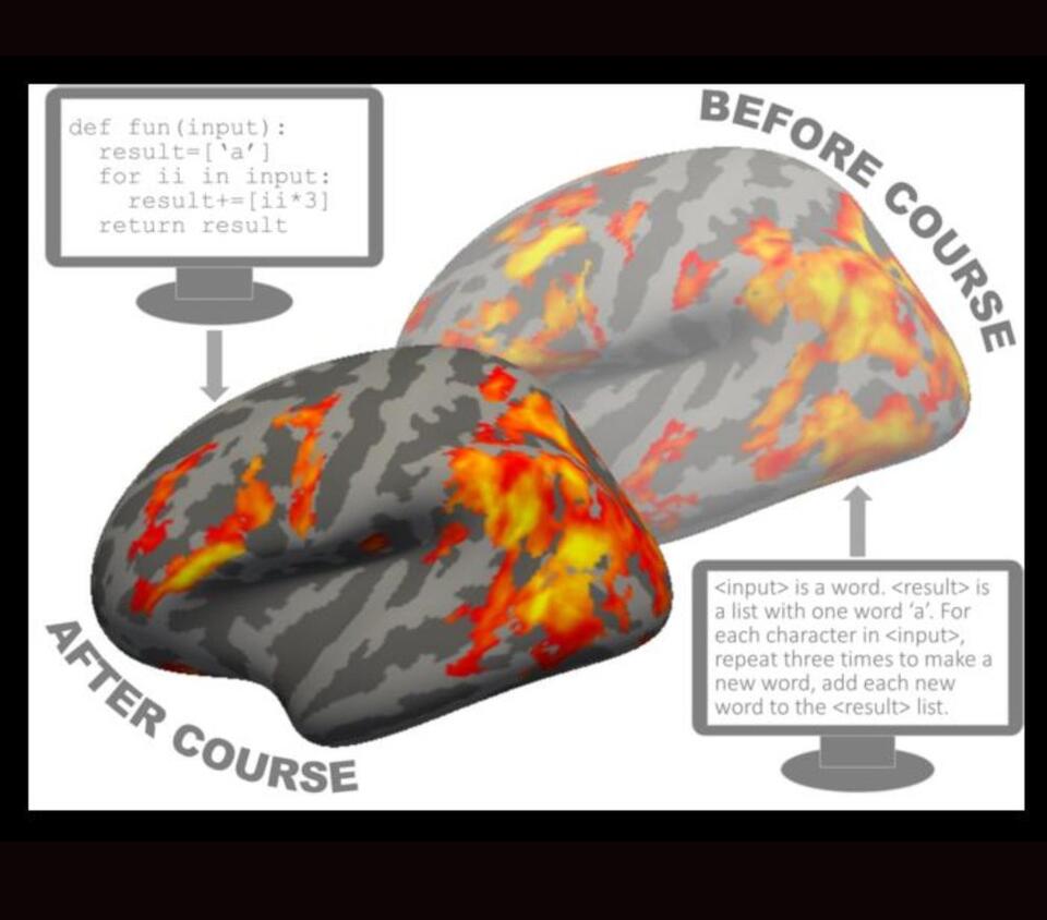 Our brains are wired to learn computer code - NewsBreak