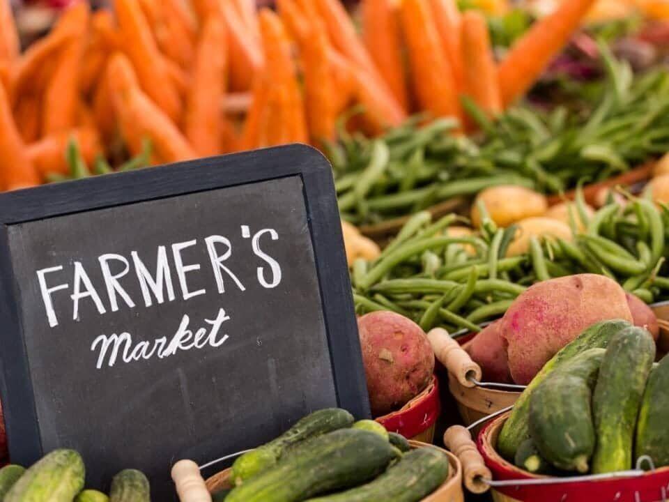 Healthy Eating Trends for 2024: More Greens, Less Processed Foods