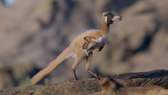 Tiny Predator from Patagonia: Near-Complete Fossil Reveals Crow-Sized ...