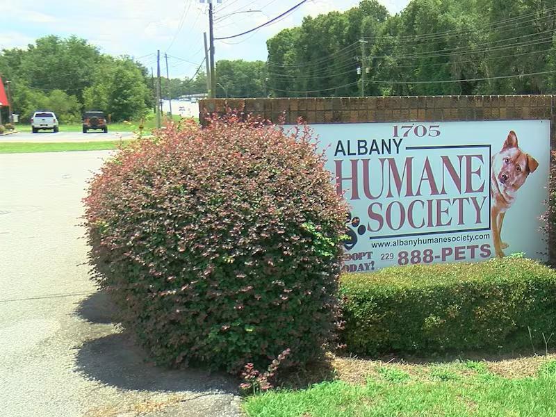 2 South Ga. animal shelters quarantining after dogs test positive for Parvo