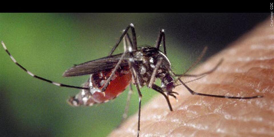 Mosquito spraying planned in Hershey