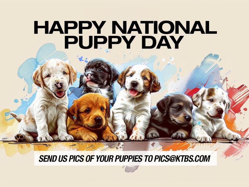 National Puppy Day