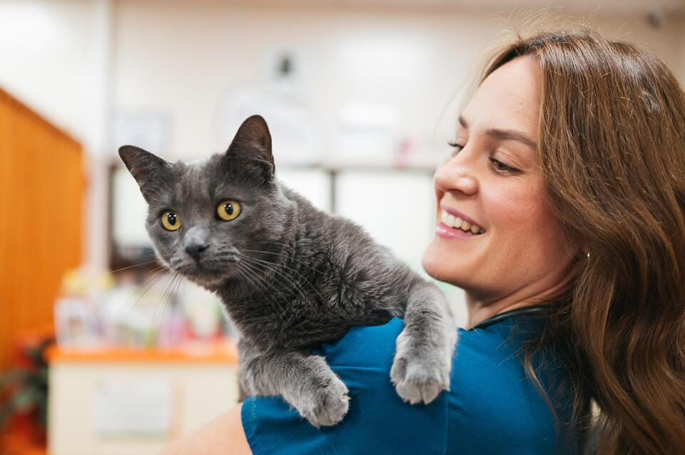 Scientists Find That Cats and Their Owners Share a Surprising ...