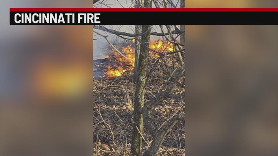Hundreds of acres burn during grass, timber fire in southern Iowa ...