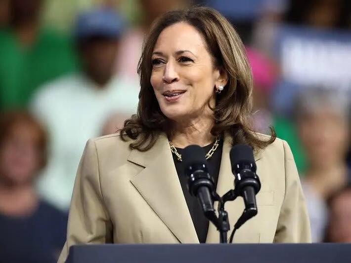 Conservative outlines 'closing argument' that Harris can use to knock
