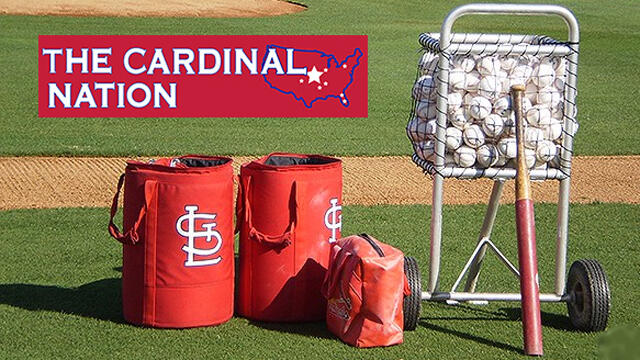 St. Louis Cardinals Organization Roster Matrix – 2026-2027 Off-Season ...