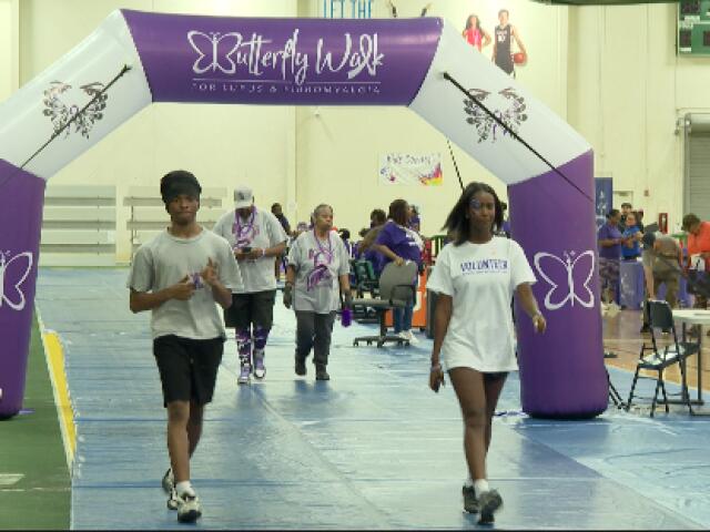 Butterfly Walk in Hampton raises awareness, money for lupus, fibromyalgia