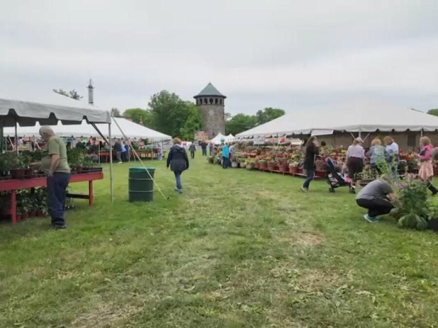 Enjoy delicious food, entertainment and vibrant flowers at the 2024