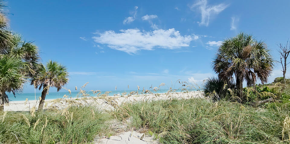 Young woman dies after fall on Egmont Key