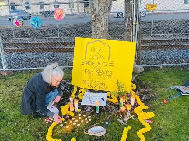 What is Fitbit Labs visual data 4