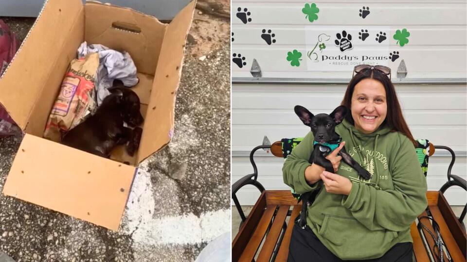 From A Cardboard Box In Texas To A New Home In Wisconsin, Tully’s Turnaround Feels Incredible