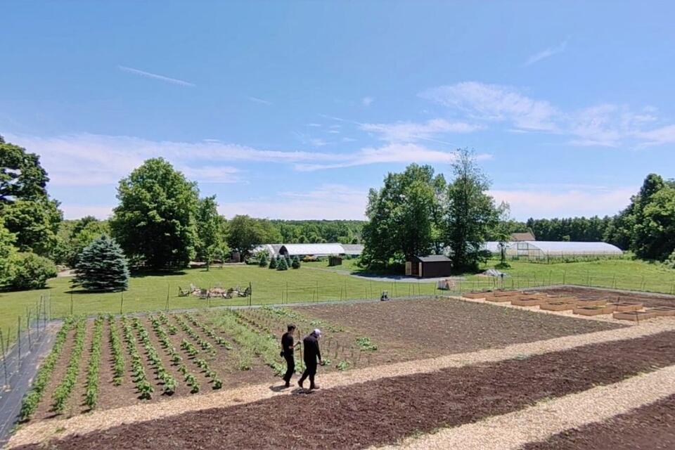 Michelin-Starred Joo Ok Sources Korean Ingredients From Bloomingburg Farm