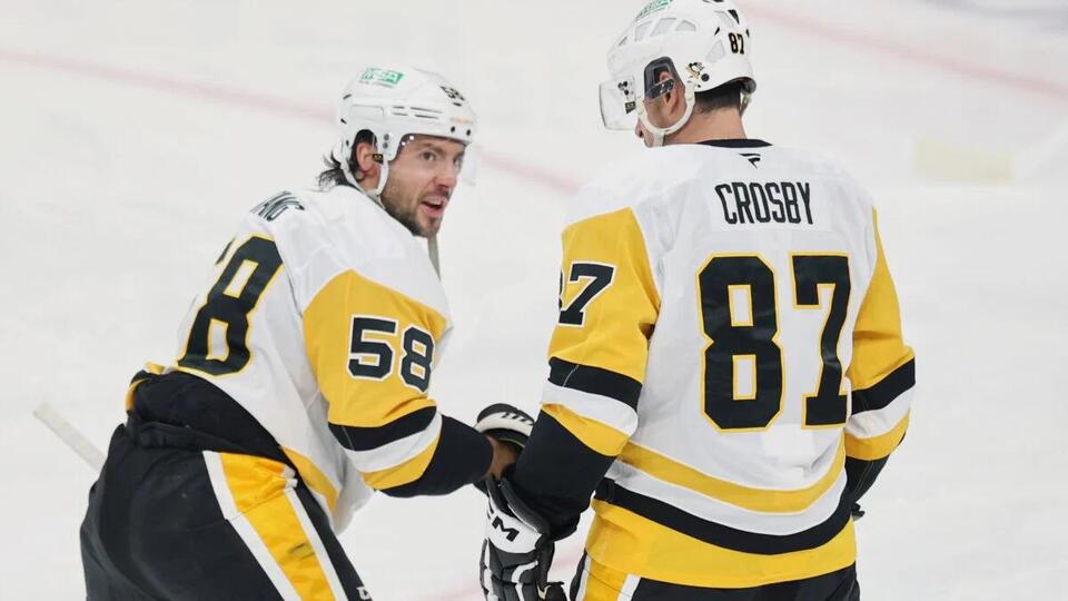Submit Here: Penguins Q&A