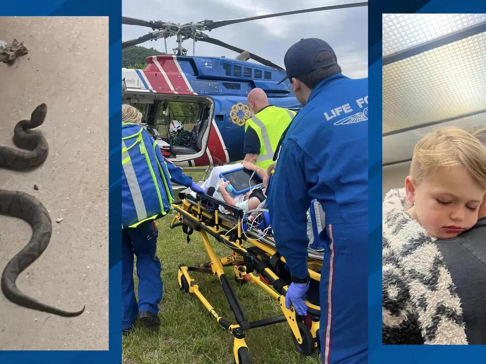 Snake scare Copperhead bites Tennessee preschooler during camping trip