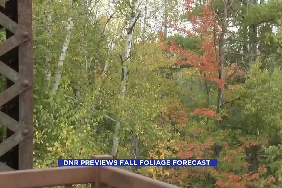 DNR Previews Fall foliage forecast - NewsBreak