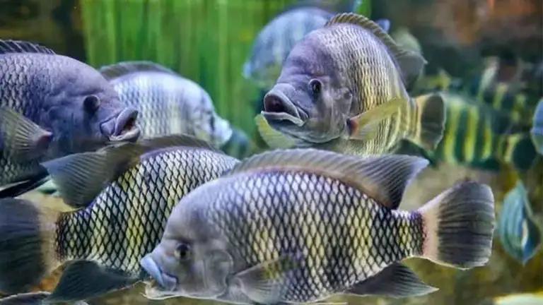 15 Fun and Random Facts for Anyone Who Cares to Learn - NewsBreak