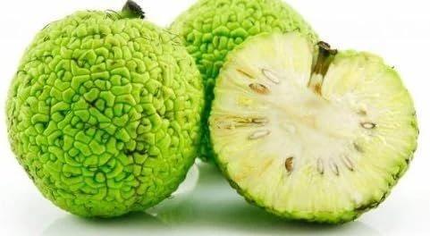 Hedge Apples: Illinois’ Secret Pest Control Hack? - NewsBreak