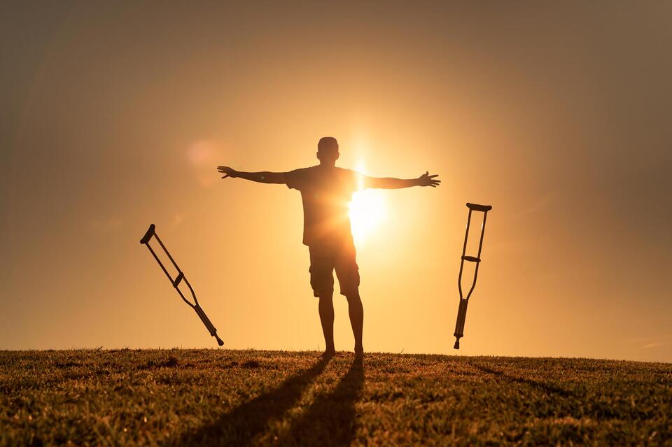 Reversing Paralysis? Human Mini Spinal Cord Shows Stunning Recovery ...