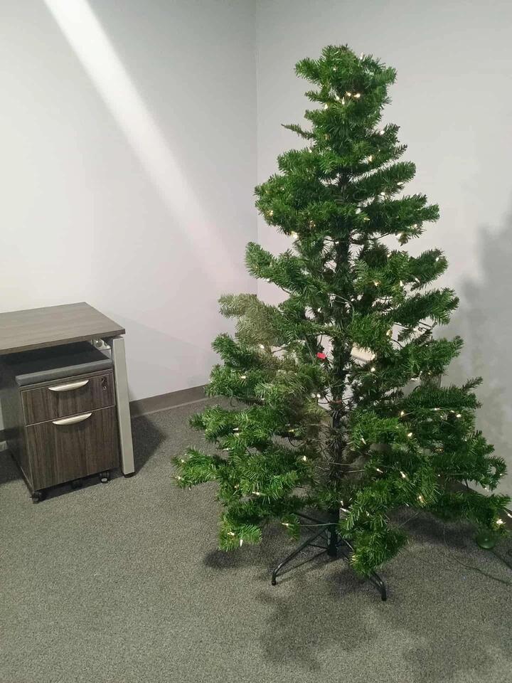 How Soon is Too Soon to Put Up the Christmas Tree? - NewsBreak