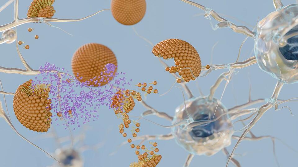 FDA Clears PharmaResearch IND for Nano-Based Cancer Drug PRD-101 ...