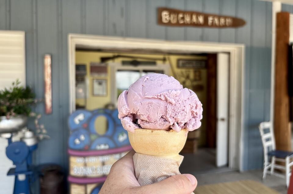 Buchan’s Blueberry Ice Cream