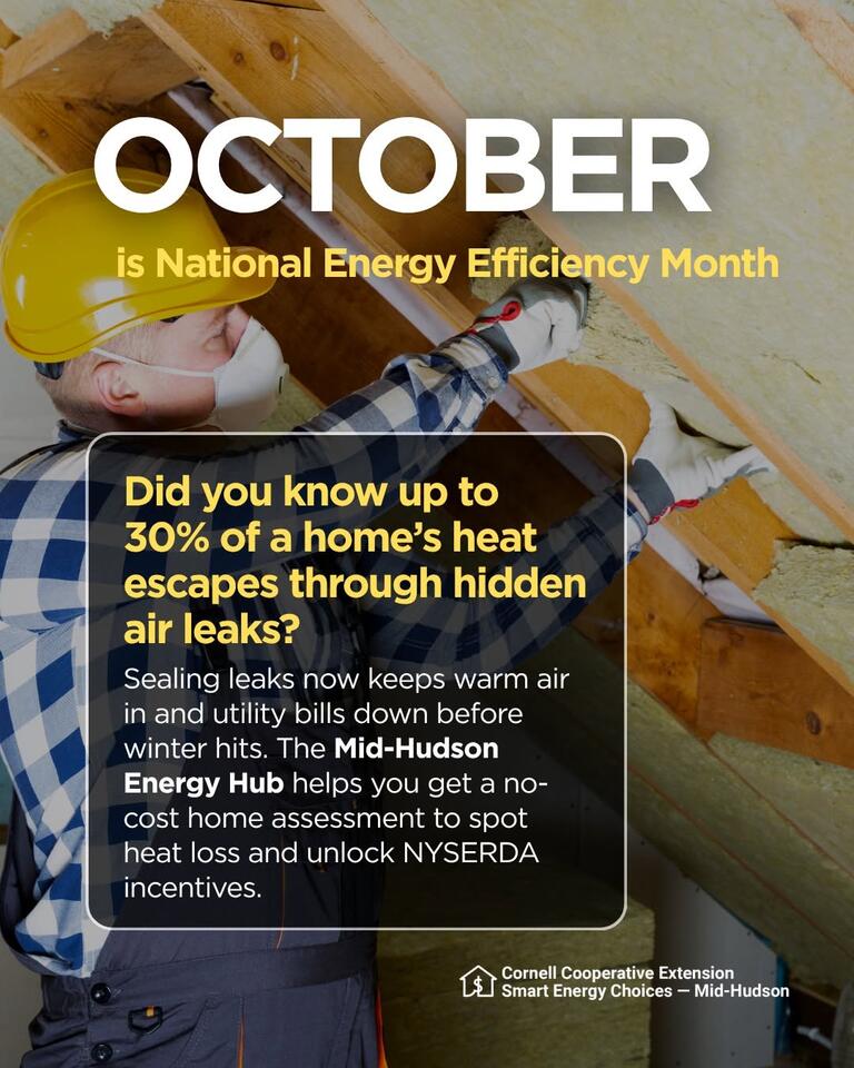 Free clean energy help for Mid-Hudson residents - NewsBreak