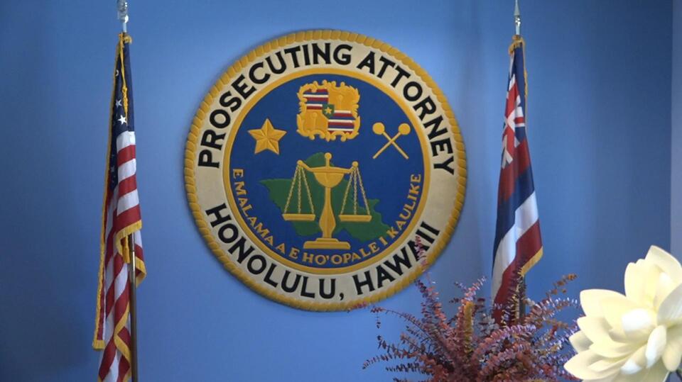 Man charged for allegedly shooting another man with pellet rifle in Ewa ...