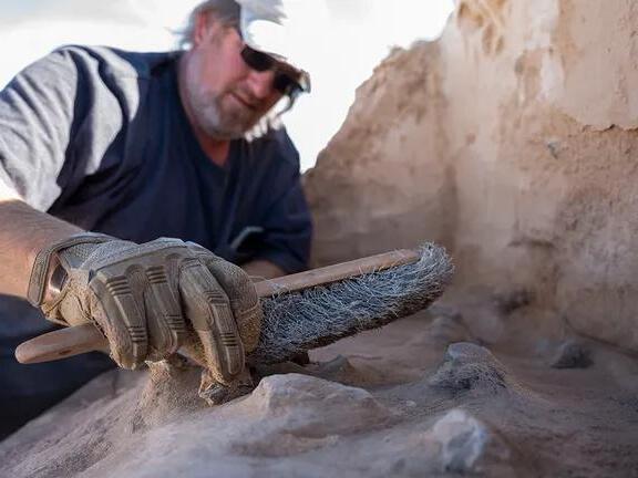 U.S. Air Force uncovers ancient campsite on New Mexico base: 'Marks a ...