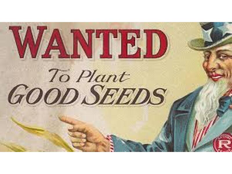 New Seed Library in Oxford - NewsBreak