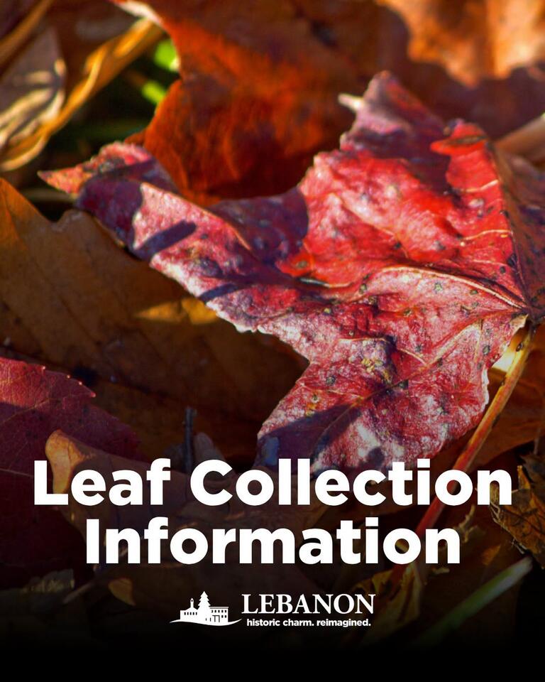 Lebanon fall leaf collection starts Oct. 12 - NewsBreak