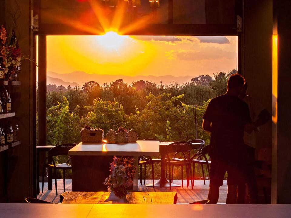 A Guide to North Carolina’s UndertheRadar Wine Scene